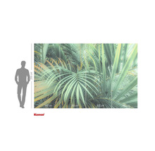 Fototapet Komar cu frunze de palmier, lățime 400 cm și înălțime 250 cm