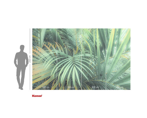 Fototapet Komar cu frunze de palmier, lățime 400 cm și înălțime 250 cm