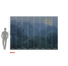 Tapet foto Komar cu motiv de junglă și indicații de dimensiune