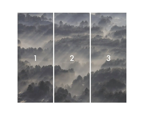 Fototapet format din trei părți cu motiv forestier în ceață