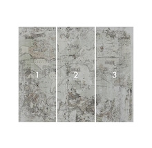 Tapetă foto din trei piese cu motiv harta lumii