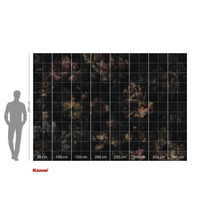 Tapet foto cu model floral și indicații de dimensiune