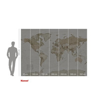 Hartă mondială ca fototapet cu indicații de măsurare