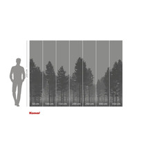 Fototapet cu motiv forestier și indicații de dimensiuni.