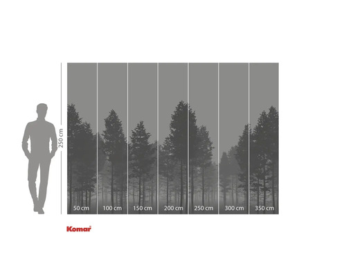 Fototapet cu motiv forestier și indicații de dimensiuni.