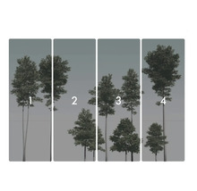 Tapetă în patru părți cu motiv forestier și copaci