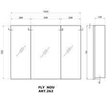 Desen tehnic al unui dulap cu oglindă cu dimensiuni
