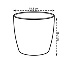 Schiță a unui ghiveci de flori cu dimensiunile de 18,2 cm lățime și 16,7 cm înălțime.