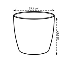 Imagine cu un vas de flori cu dimensiunile de 25,1 cm lățime și 23,1 cm înălțime.