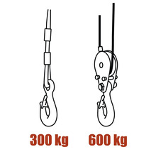 Desen cu două trolii cu cablu cu o capacitate de încărcare de 300 kg și 600 kg