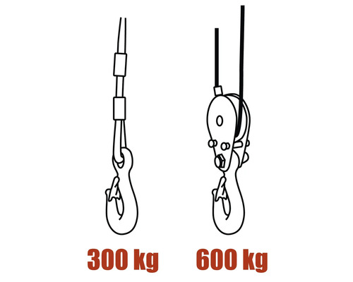 Desen cu două trolii cu cablu cu o capacitate de încărcare de 300 kg și 600 kg
