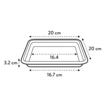 Imagine cu dimensiunile unui vas pentru plante: 20 cm x 20 cm