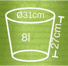 Schiță dimensională ghiveci de flori: diametru 31 cm, înălțime 27 cm, volum 8 litri
