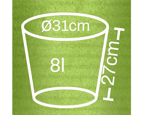 Schiță dimensională ghiveci de flori: diametru 31 cm, înălțime 27 cm, volum 8 litri