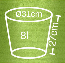 Ilustrație a unui ghiveci de flori cu dimensiunile de 31 cm în diametru și 27 cm înălțime, și un volum de 8 litri