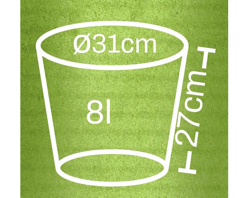 Grafic cu dimensiunile unui ghiveci de flori: 31 centimetri diametru, 27 centimetri înălțime, 8 litri volum