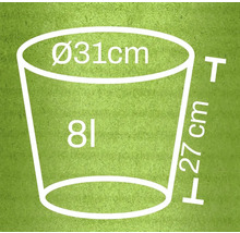 Ilustrație a unui ghiveci de flori cu dimensiunile diametru 31 cm, înălțime 27 cm și un volum de 8 litri