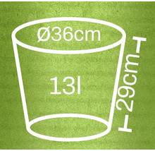 Dimensiunile unui ghiveci de flori: diametru 36 centimetri, înălțime 29 centimetri, volum 13 litri