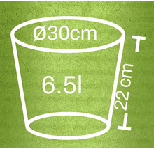 Schiță a unui ghiveci de flori cu dimensiunile diametrul 30 centimetri, înălțimea 22 centimetri și volumul 6,5 litri