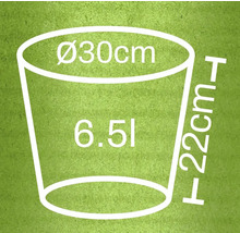Ilustrație a unui ghiveci de flori cu dimensiunile diametru 30 cm, înălțime 22 cm și un volum de 6,5 litri