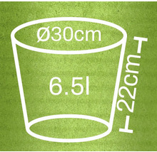 Schiță a unui ghiveci de flori cu dimensiunile de 30 centimetri diametru, 22 centimetri înălțime și un volum de 6,5 litri