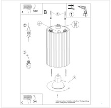 Instrucțiuni de montare pentru plafonieră cu pașii de oprire a curentului, fixarea carcasei, conectarea electrică și instalarea becului.