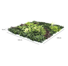 Perete de plante artificiale cu diverse tipuri de frunze, dimensiuni 100 pe 100 centimetri, adâncime 8 centimetri.