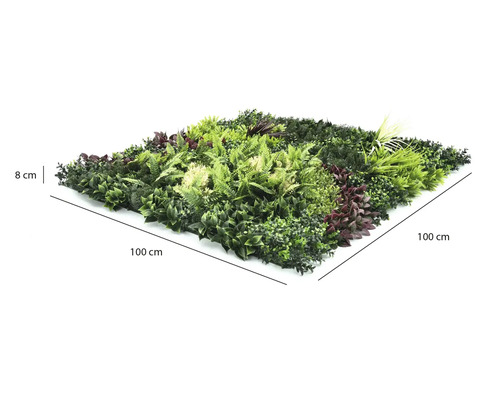 Perete de plante artificiale cu diverse tipuri de frunze, dimensiuni 100 pe 100 centimetri, adâncime 8 centimetri.