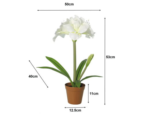 Amaryllis artificial alb în ghiveci cu dimensiuni: înălțime 53 centimetri, lățime 50 centimetri, ghiveci 11 pe 12,5 centimetri.