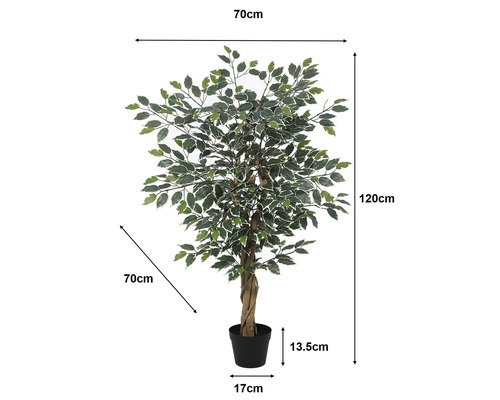 Ficus Benjamina artificial cu trunchi răsucit. Înălțime 120 centimetri, lățime 70 centimetri. Ghiveci: înălțime 13,5 centimetri, diametru 17 centimetri.