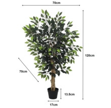 Ficus artificial în ghiveci cu dimensiuni: înălțime 120 centimetri, lățime 70 centimetri, înălțime ghiveci 13,5 centimetri, diametru ghiveci 17 centimetri.