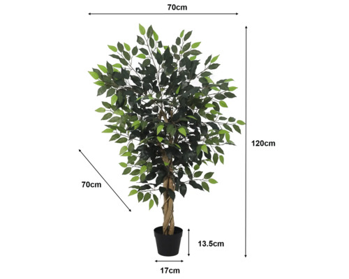 Ficus artificial în ghiveci cu dimensiuni: înălțime 120 centimetri, lățime 70 centimetri, înălțime ghiveci 13,5 centimetri, diametru ghiveci 17 centimetri.
