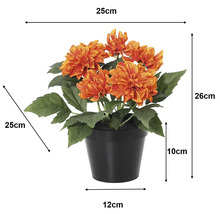 Dalie artificială în ghiveci negru: înălțime 26 centimetri, lățime 25 centimetri, înălțime ghiveci 10 centimetri, diametru bază 12 centimetri.