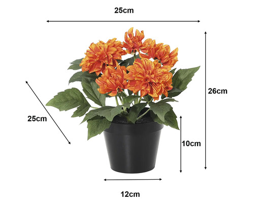 Dalie artificială în ghiveci negru: înălțime 26 centimetri, lățime 25 centimetri, înălțime ghiveci 10 centimetri, diametru bază 12 centimetri.