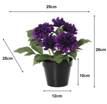 Dalie artificială în ghiveci negru, flori mov. Dimensiuni: înălțime 26 centimetri, lățime 25 centimetri, adâncime 25 centimetri.