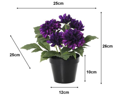 Dalie artificială în ghiveci negru, flori mov. Dimensiuni: înălțime 26 centimetri, lățime 25 centimetri, adâncime 25 centimetri.