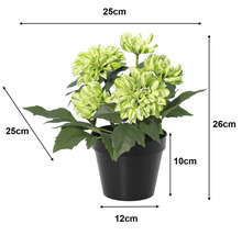 Dalie artificială în ghiveci: înălțime 26 centimetri, lățime 25 centimetri, adâncime 25 centimetri, ghiveci 10 centimetri, diametru 12 centimetri.