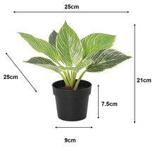 Plantă artificială în ghiveci: înălțime 21 centimetri, lățime 25 centimetri, înălțime ghiveci 7,5 centimetri, diametru 9 centimetri.