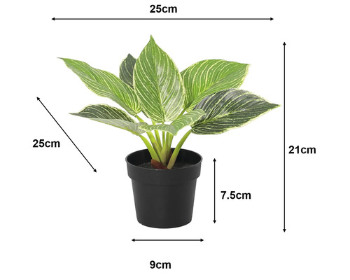 Plantă artificială în ghiveci: înălțime 21 centimetri, lățime 25 centimetri, înălțime ghiveci 7,5 centimetri, diametru 9 centimetri.