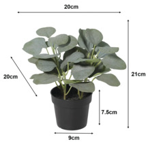 Plantă artificială de eucalipt în ghiveci cu dimensiuni: înălțime 21 centimetri, lățime și adâncime 20 centimetri. Ghiveciul are 7,5 centimetri.