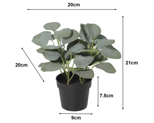 Plantă artificială de eucalipt în ghiveci cu dimensiuni: înălțime 21 centimetri, lățime și adâncime 20 centimetri. Ghiveciul are 7,5 centimetri.