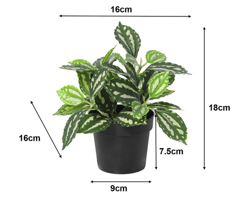 Plantă Pilea artificială în ghiveci negru cu dimensiuni: înălțime totală 18 centimetri, lățime 16 centimetri, înălțime ghiveci 7,5 centimetri.