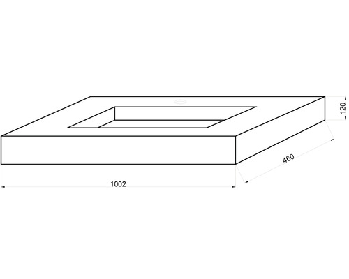 Desen tehnic al unui blat de lavoar cu dimensiunile de 1002 x 460 x 120 milimetri.