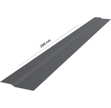 Tablă de acoperiș 200 cm