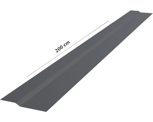 Tablă de acoperiș 200 cm