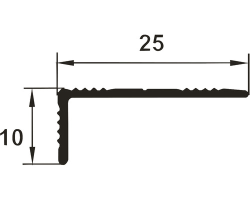 Desen tehnic al unui profil pentru muchia scărilor cu dimensiunile de 25 x 10 milimetri