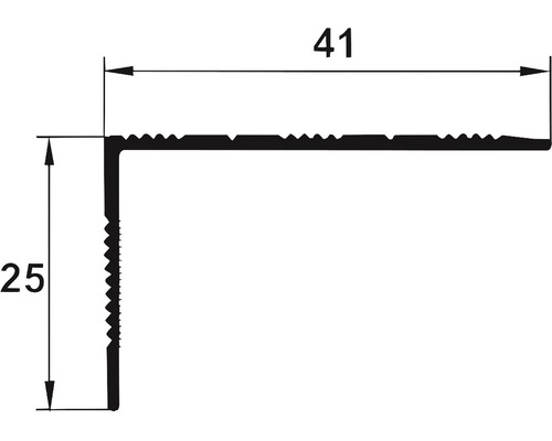 Profil pentru protecția muchiei scărilor cu dimensiunile 41 și 25