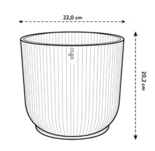 Ilustrație a unui ghiveci rotund cu dimensiunile de 22,0 cm în diametru și 20,2 cm în înălțime