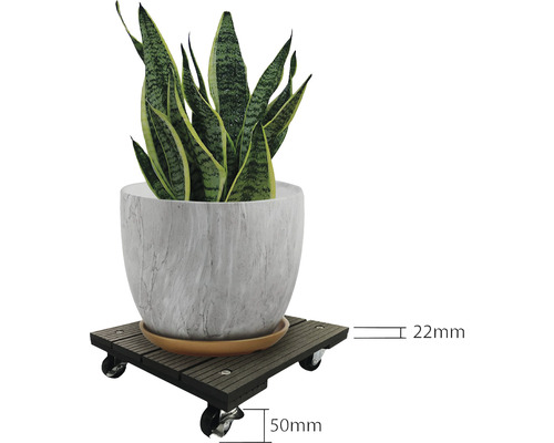 Suport pentru plante cu plantă în ghiveci și dimensiuni