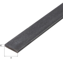 Platbandă metalică Alberts 15x5 mm, lungime 1m